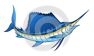 Blue atlantic sailfish