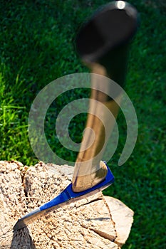 A blue axe stuck in an old tree stem