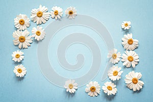 Blue background with camomiles frame and copy space.