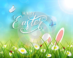 Blue background with Easter bunny in grass