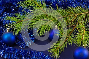 On a blue background and a green branch for the new year