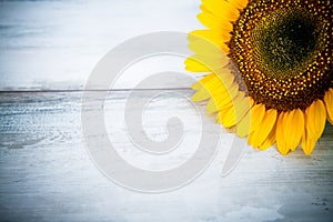 Blue background with sunflowers