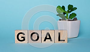 On a blue background, on wooden cubes near a plant in a pot GOAL is written