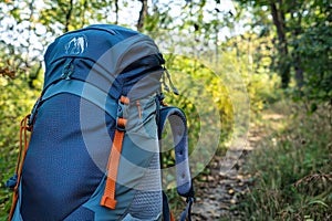 Blue Backpack with Orange Straps in a Forest Setting