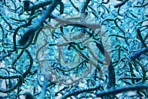 Blue bacteria background