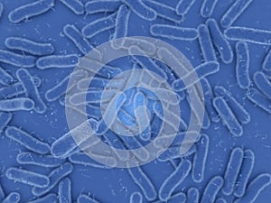 Blue bacteria on blue background