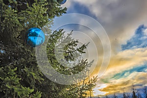 Blu sfera sul albero di natale 