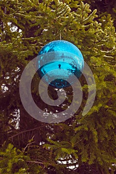 Blu sfera sul albero di natale 