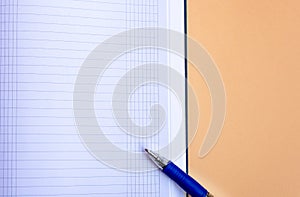 Blue ball pen lying on a checkered sheet