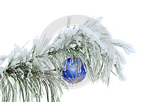 Blue ball on snowy pine branch