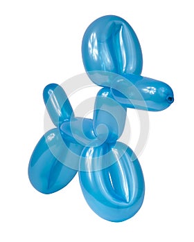 Blue balloon dog model party fun isolated on the white background