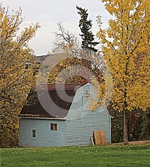 Blue Barn Surrounded by Fall Trees