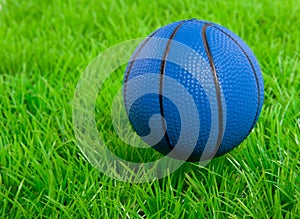 A blue basketball on a green lawn