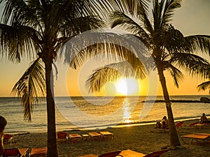 Blue Bay Beach Sunset - palm tree