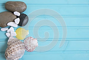 Blue beach background image of light and dark pebbles and multi colour shells