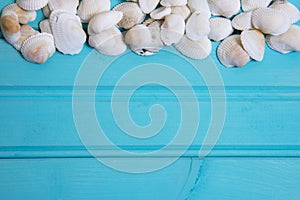 Blue beach background image of white stones and shells