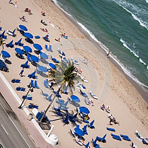 Blue beach umbrellas cover vacationing tourist enjoying the beach in Fort Lauderdale Florida