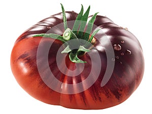 Blue Beauty heirloom tomato, ripe with anthocyanin shoulders,  isolated