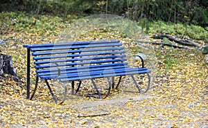 Blue bench in autumn forest