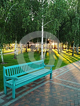 Blue bench in the park