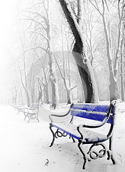 Blue benches in the fog