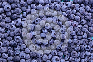 Blue Berries