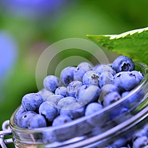 Blue berries