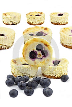 Blue berry cheese cake