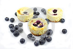 Blue berry cheese cake