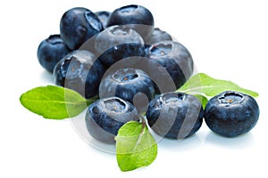 Blue berry photo