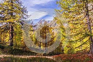 Alpe devero autumnal mountain landscape