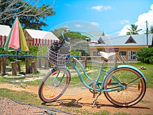 Blue bicycle with a basket in a picnic area in the Seychelles