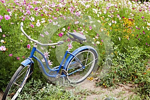 Blue Bicycle Flowers Garden