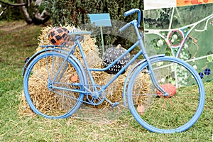 Blue bicycle with hay and pumkpins decoration