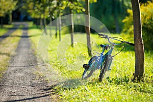 Blue bicycle leaned against a tree