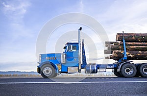 Blue big rig day cab semi truck transporting logs on the semi trailer moving on the flat road in sunshine