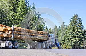 Blue big rig day cab semi truck transporting long logs running on the road with green forest