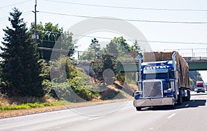 Blue big rig semi truck with semi trailer loaded with hay running on wide highway