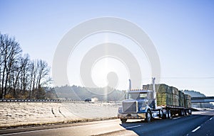 Blue Big rig semi truck transporting bales of hay on pallets on two flat bed semi trailers on winter road in sunshine