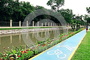 Blue bike lanes flower in the city