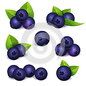 Blue bilberry set with leaves