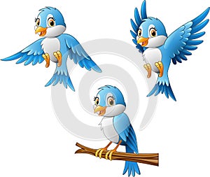 Blue bird cartoon