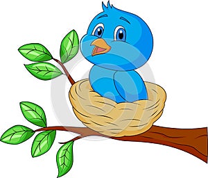 Blue bird cartoon in the nest