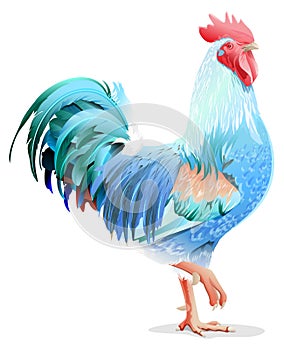 Blue bird cock. Blue Rooster symbol 2017 year