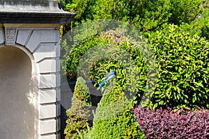 The blue bird entrance to the garden