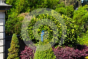 The blue bird entrance to the garden