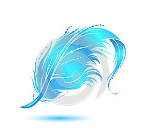 Blue bird feather icon. Decorative design element isolated on white background