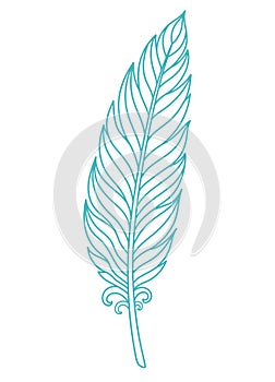 Blue bird feather. Soft and fluffy plumelet. Outline Indian plume