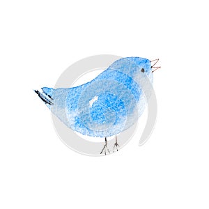 Blue bird hand drawn watercolor aquarelle illustration.