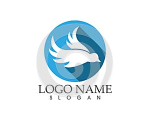 Blue bird icon logo vector template